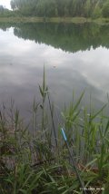 IMG_20240611_064615.jpg