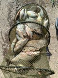 IMG20240616080408.jpg