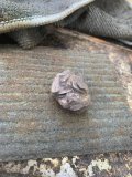 IMG_0730.jpeg