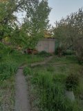 IMG_20240510_190448.jpg