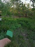 IMG_20240510_190444.jpg