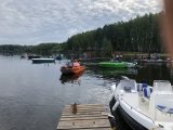 IMG_2305.jpg