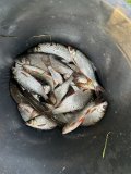 IMG_5562.jpeg