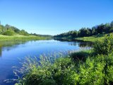 IMG_20240621_064423.jpg