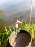 IMG_20240615_072047.jpg