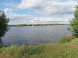 IMG_20240615_160341.jpg