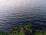 IMG_20240615_210341.jpg