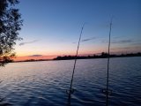 IMG_20240615_213451.jpg