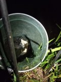 IMG_20240616_001252.jpg