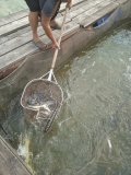 IMG_20240629_080723.jpg