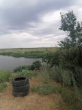 IMG_20240629_082244.jpg