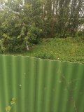 IMG_20240629_081615.jpg