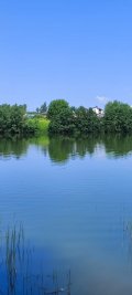 IMG-20240629-WA0052.jpg