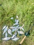 IMG_0065.jpeg