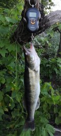IMG_20240629_190223.jpg