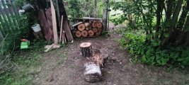 IMG_20240603_112321_775.jpg