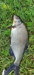 IMG_20240702_075846.jpg