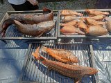 IMG20240703124341.jpg