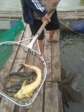 IMG_20240706_080829.jpg