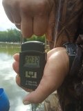 IMG_20240706_090305_1.jpg