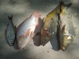 IMG_20240706_160815.jpg