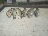 IMG_20240706_180747.jpg