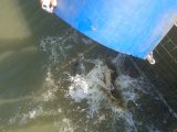 IMG_20240707_080313.jpg