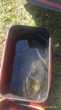 IMG_20240707_091450.jpg