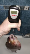IMG_20240714_093548.jpg