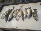 IMG-20240716-WA0002.jpg
