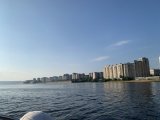 IMG_4643.jpeg