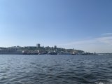 IMG_4648.jpeg