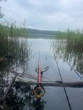 IMG_4568.jpeg