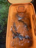 IMG_4570.jpeg