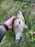 IMG_5378.jpeg