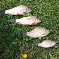 IMG_20240722_010715.jpg