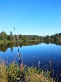 IMG_20240721_071619.jpg