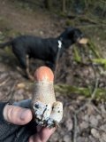 IMG_7034.jpeg