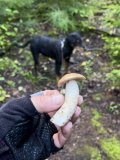 IMG_7078.jpeg