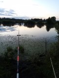 IMG_20240723_040724.jpg
