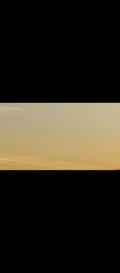 Screenshot_20240723-204406.jpg