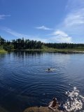 IMG_8214.jpeg