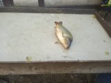 IMG-20240724-WA0024.jpg