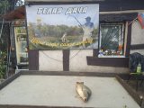 IMG-20240724-WA0025.jpg