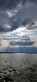 IMG_20240630_070141.jpg