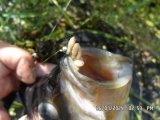 SAM_0830.JPG