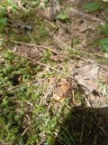 IMG_20240726_123451_566.jpg