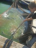 IMG_20240727_080223.jpg