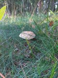 20240727_060054.jpg