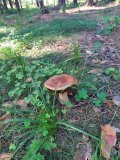 20240727_073626.jpg